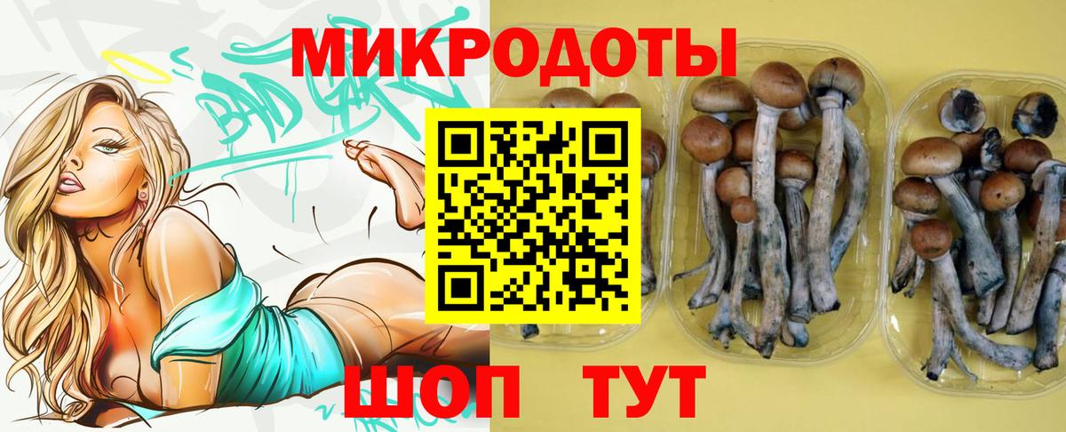 где купить наркоту  Вход с VPN  Темрюк  Псилоцибиновые грибы ЛСД 