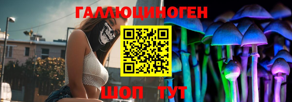 Псилоцибиновые грибы Cubensis Темрюк